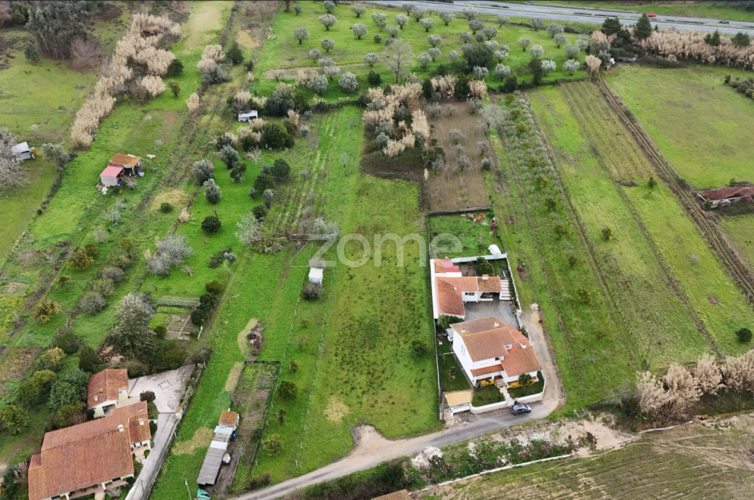 Terreno para Venda em Antuzede e Vil de Matos Foto 5