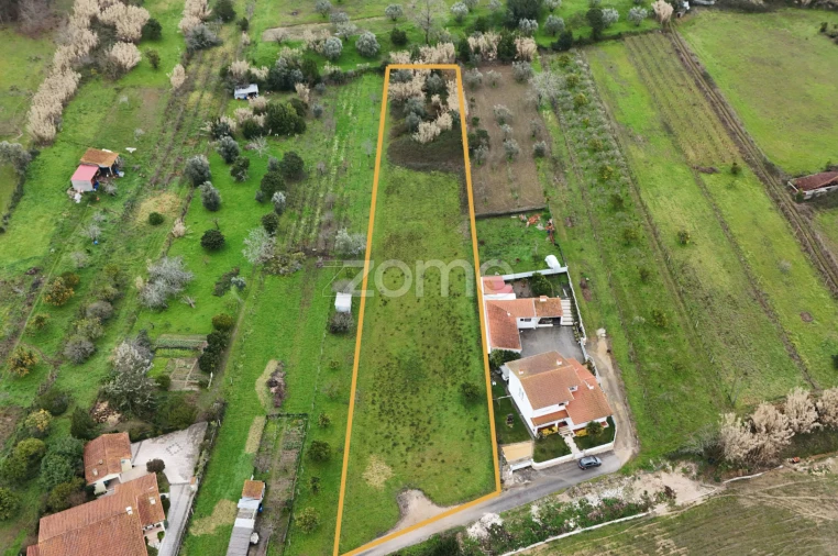 Terreno para Venda em Antuzede e Vil de Matos Foto 2