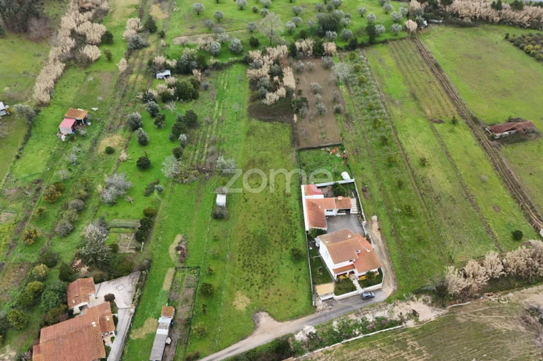 Terreno para Venda em Antuzede e Vil de Matos Foto 3