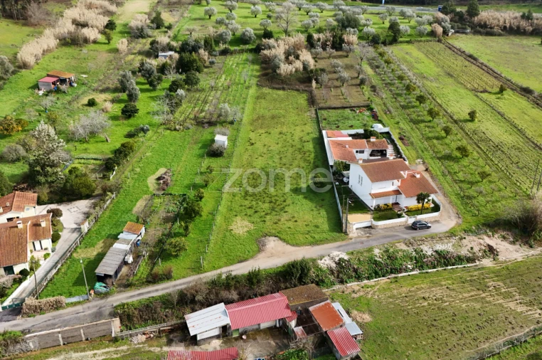 Terreno para Venda em Antuzede e Vil de Matos Foto 9