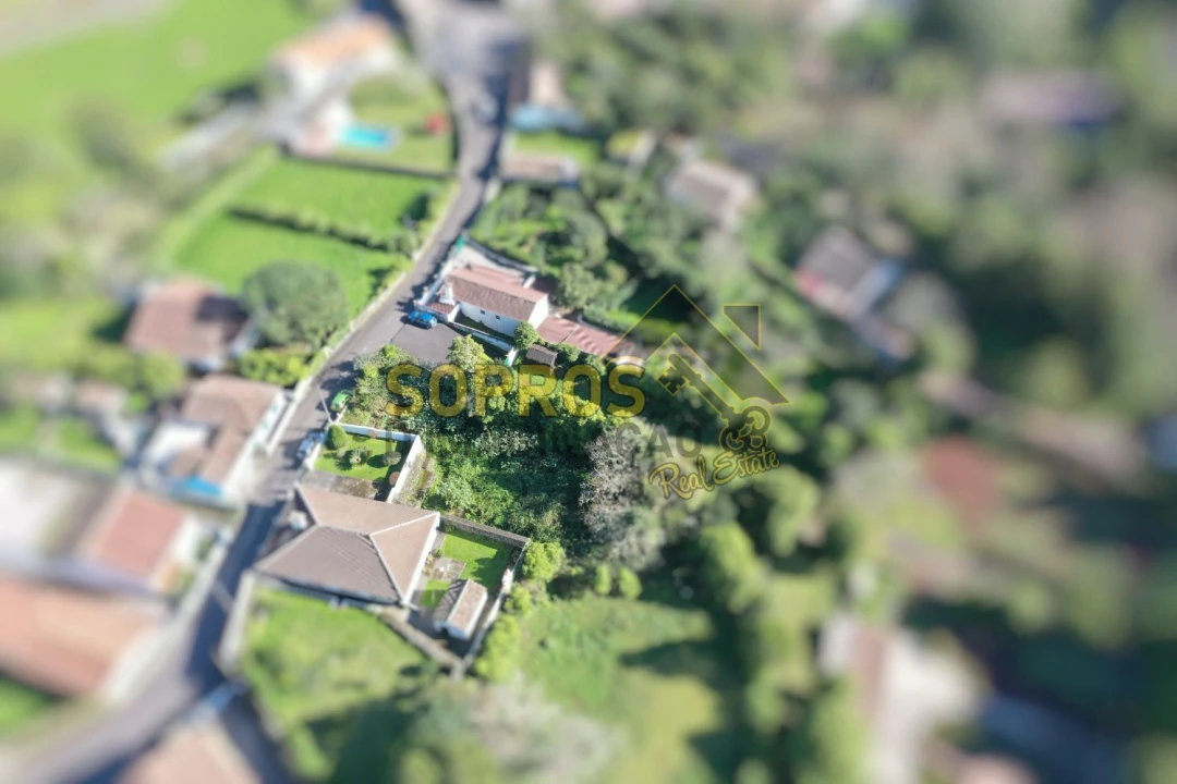 Terreno para Venda em Terra Chã Foto 6