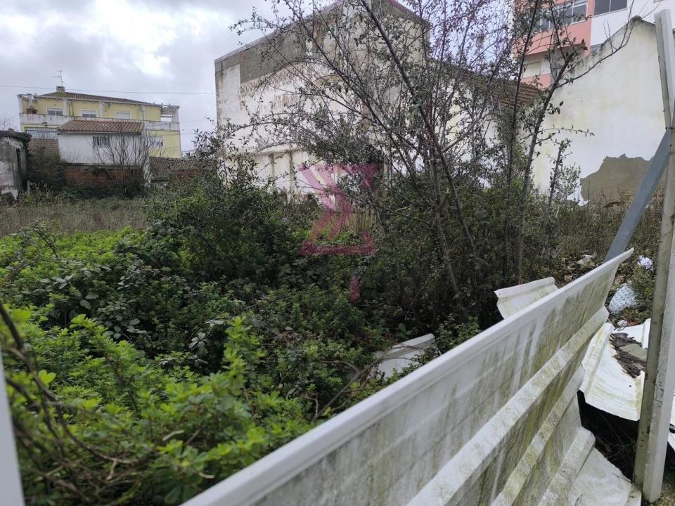 Terreno para Venda em Bombarral e Vale Covo Foto 7