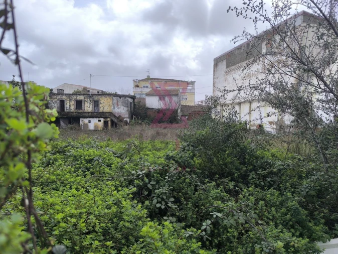 Terreno para Venda em Bombarral e Vale Covo Foto 6