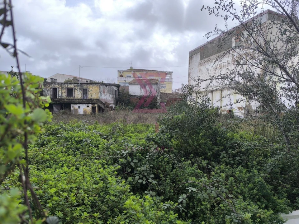 Terreno para Venda em Bombarral e Vale Covo Foto 6