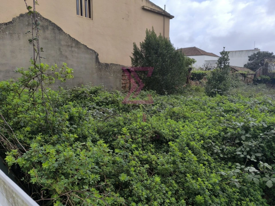 Terreno para Venda em Bombarral e Vale Covo Foto 5