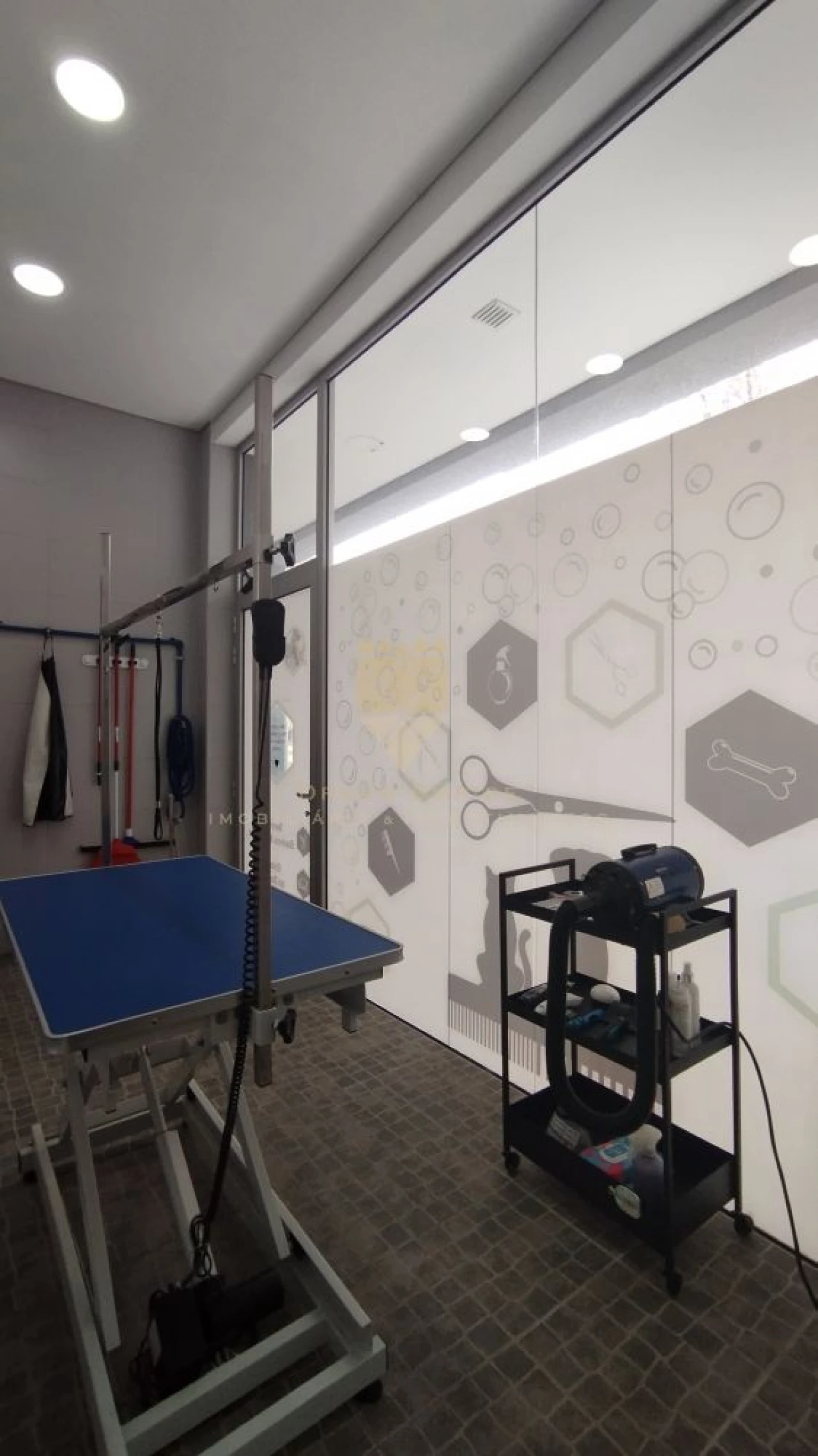 Loja para Trespasse em Santa Maria Maior Foto 16