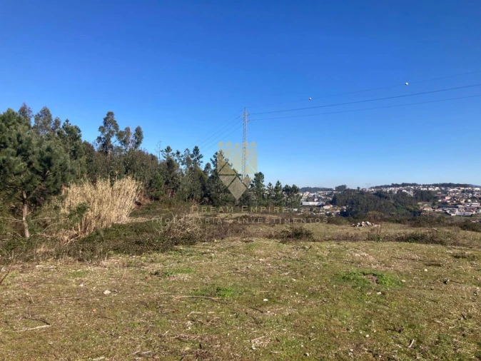 Terreno para Venda em Vilela Foto 11