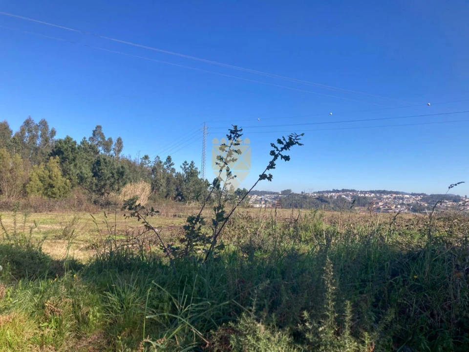 Terreno para Venda em Vilela Foto 2