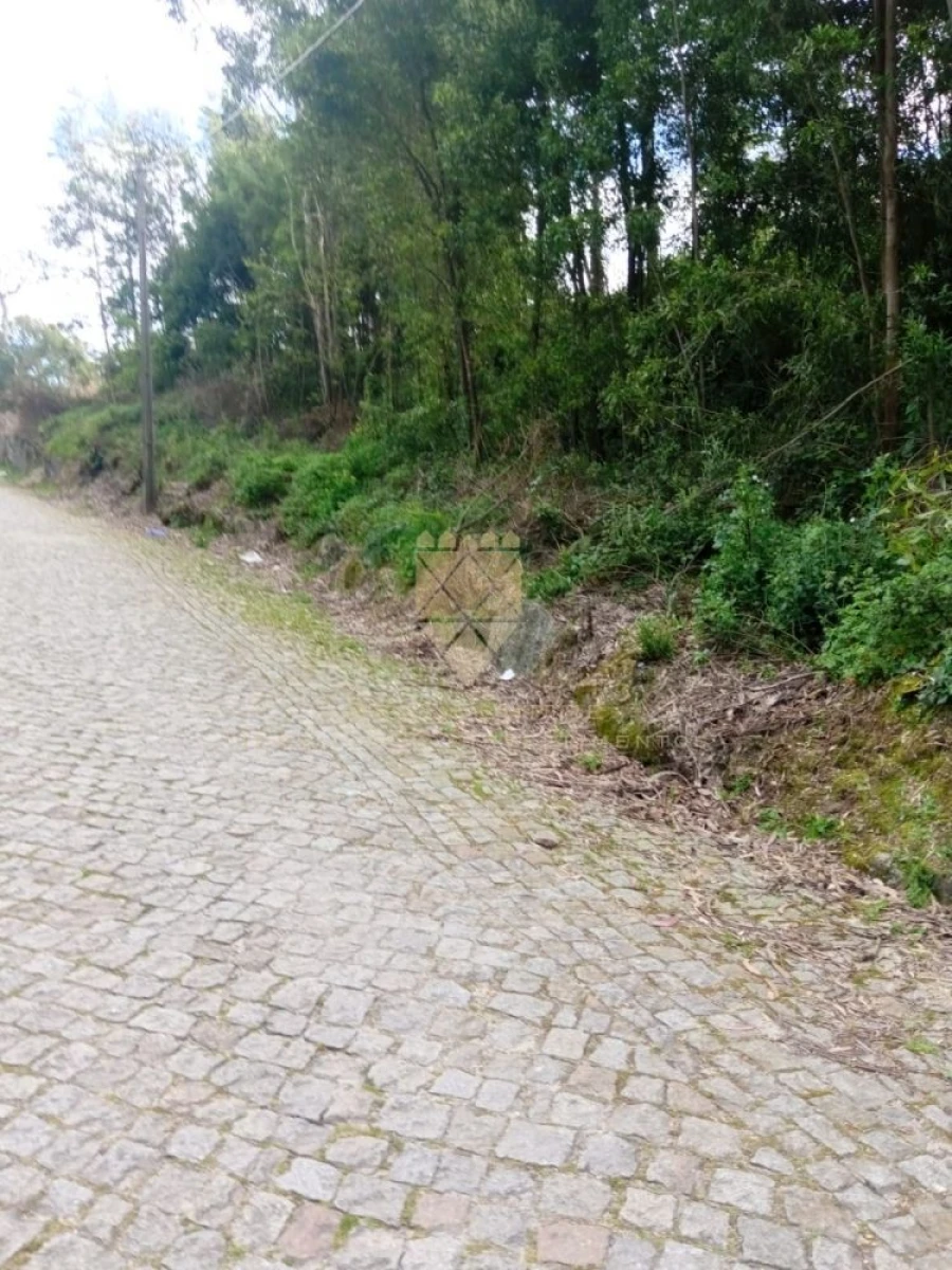 Terreno para Venda em Fonte Arcada