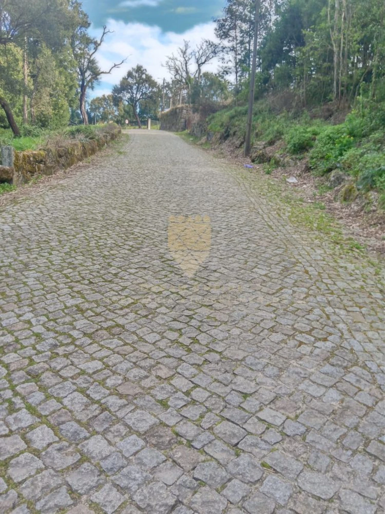 Terreno para Venda em Fonte Arcada Foto 2