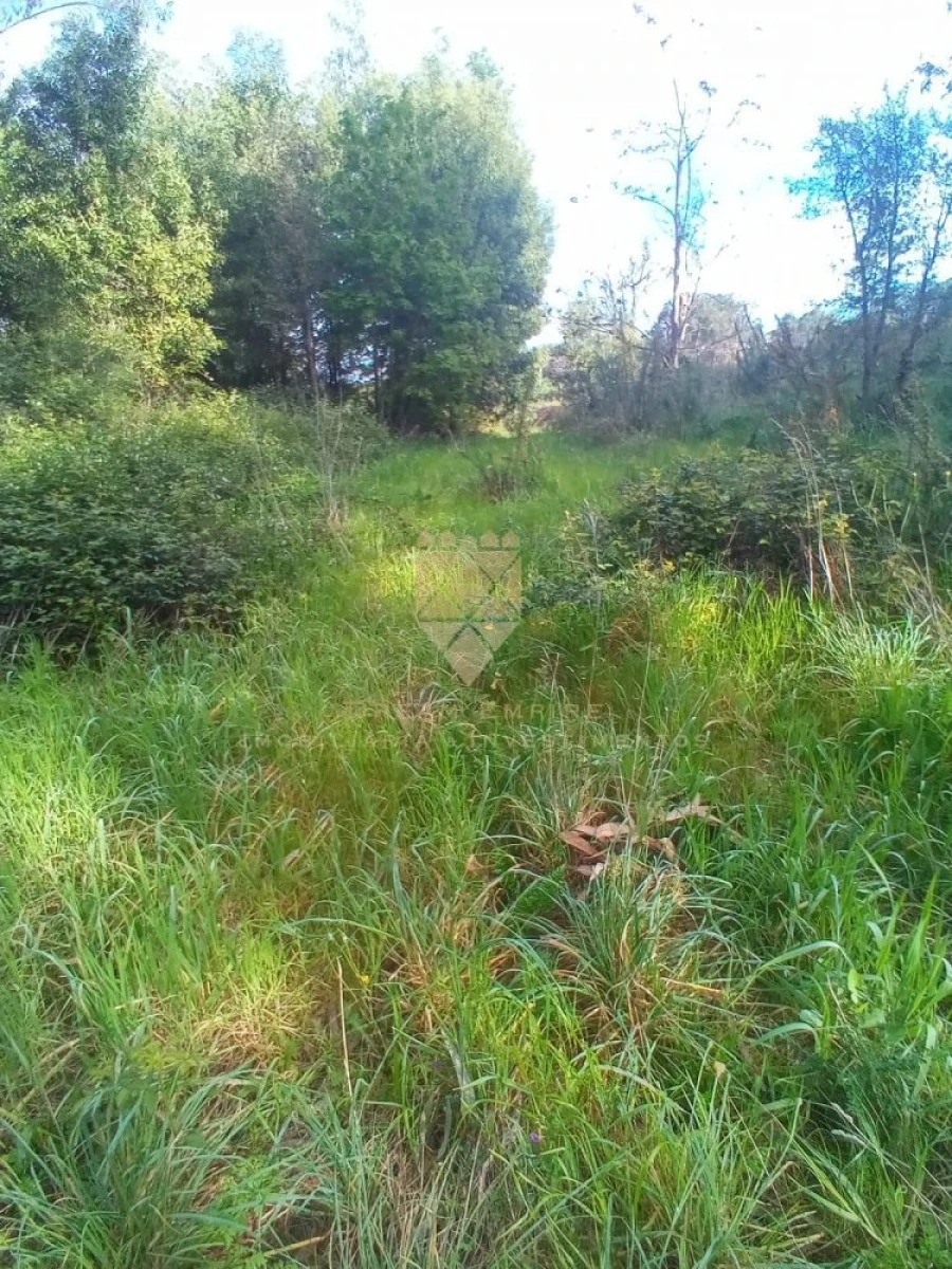 Terreno para Venda em Fonte Arcada