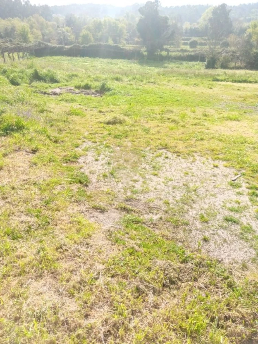 Terreno para Venda em Fonte Arcada Foto 3