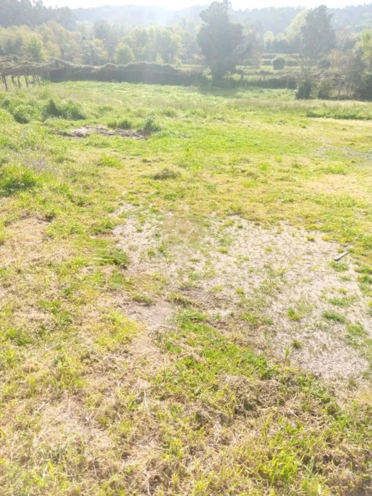 Terreno para Venda em Fonte Arcada Foto 3