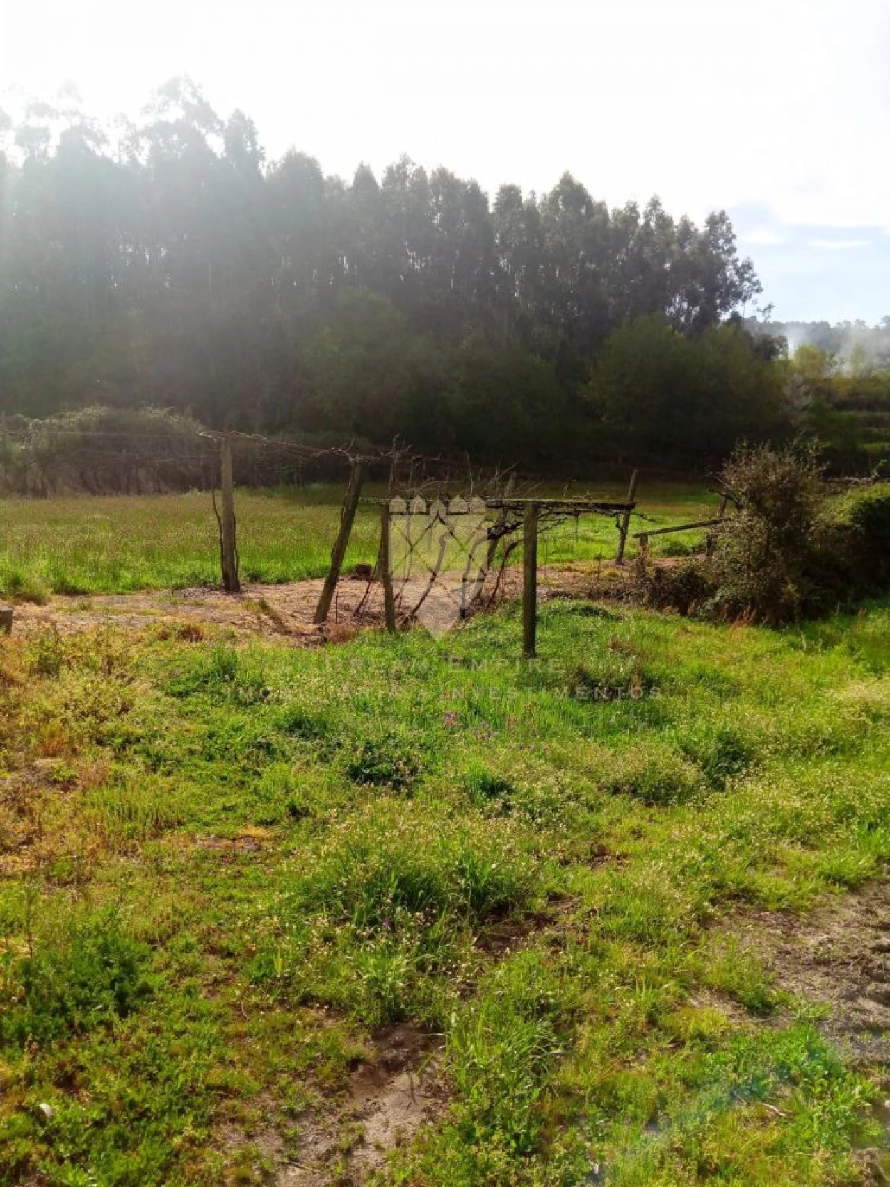 Terreno para Venda em Fonte Arcada Foto 3