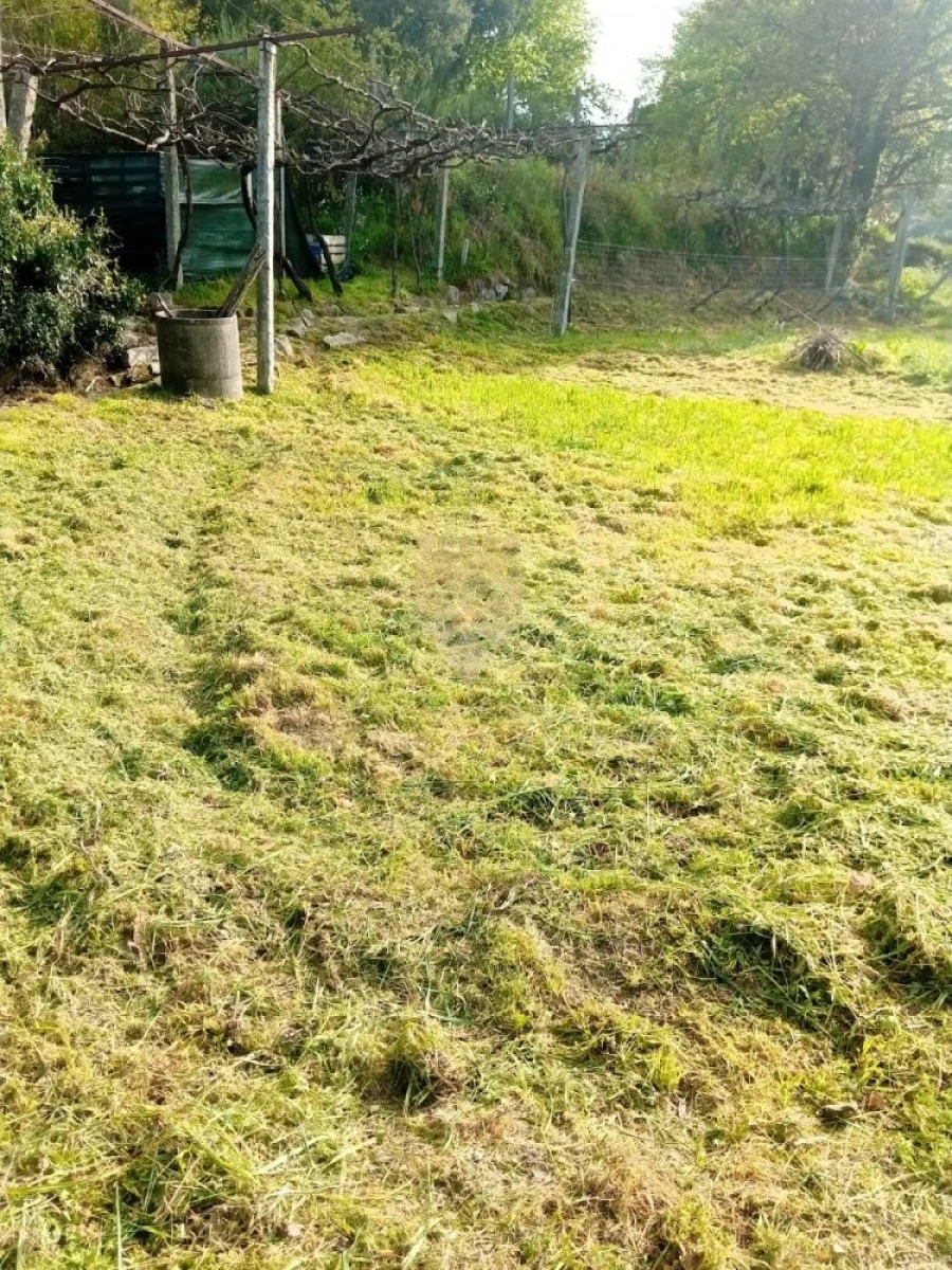 Terreno para Venda em Fonte Arcada Foto 2