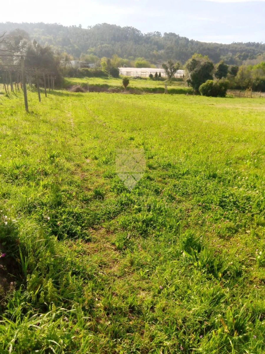 Terreno para Venda em Fonte Arcada Foto 2