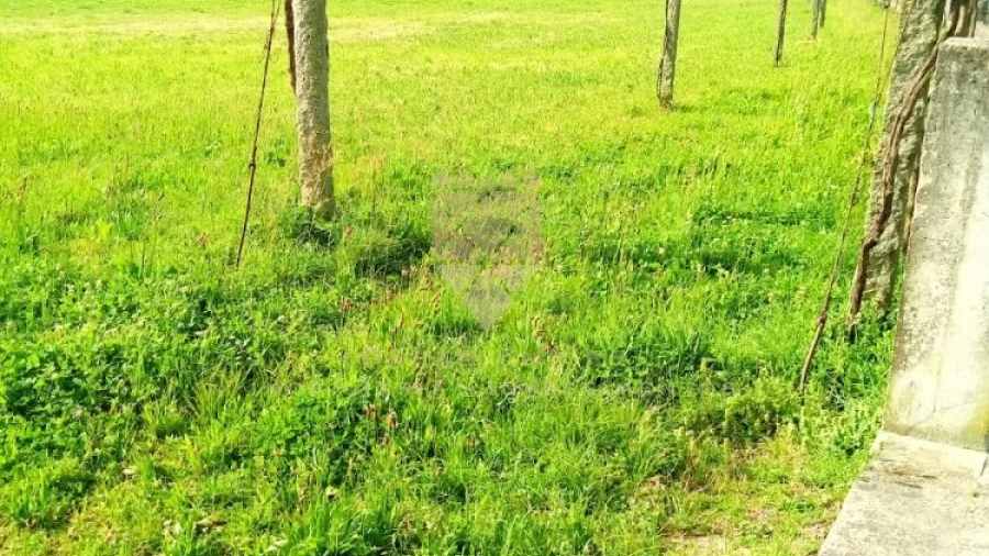 Terreno para Venda em Fonte Arcada