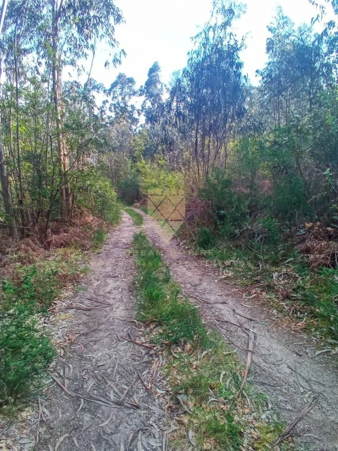 Terreno para Venda em Paço de Sousa Foto 3
