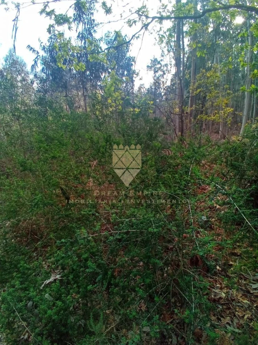 Terreno para Venda em Paço de Sousa