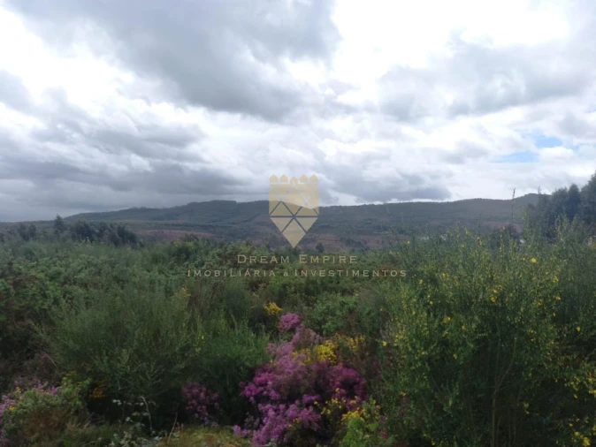 Terreno para Venda em Recarei Foto 8