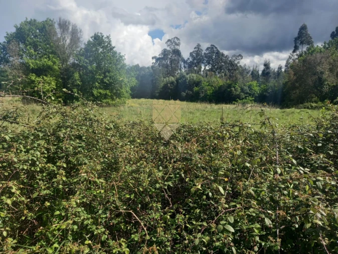 Terreno para Venda em Recarei Foto 8