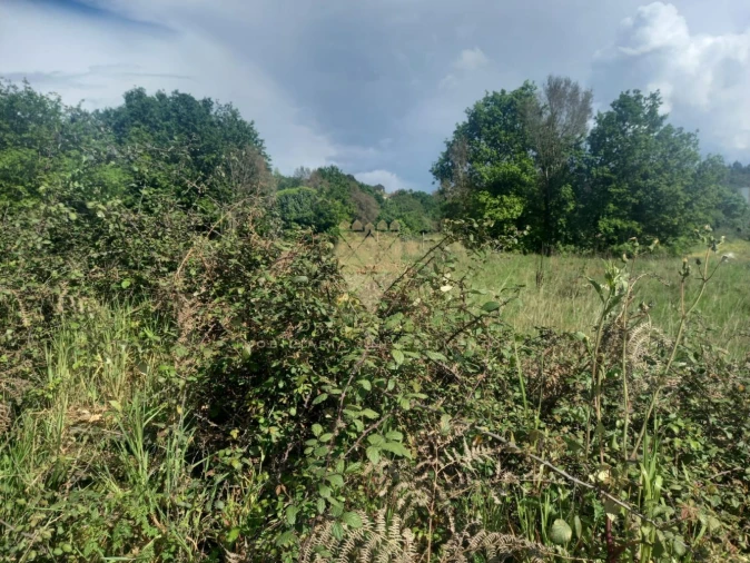 Terreno para Venda em Recarei Foto 3