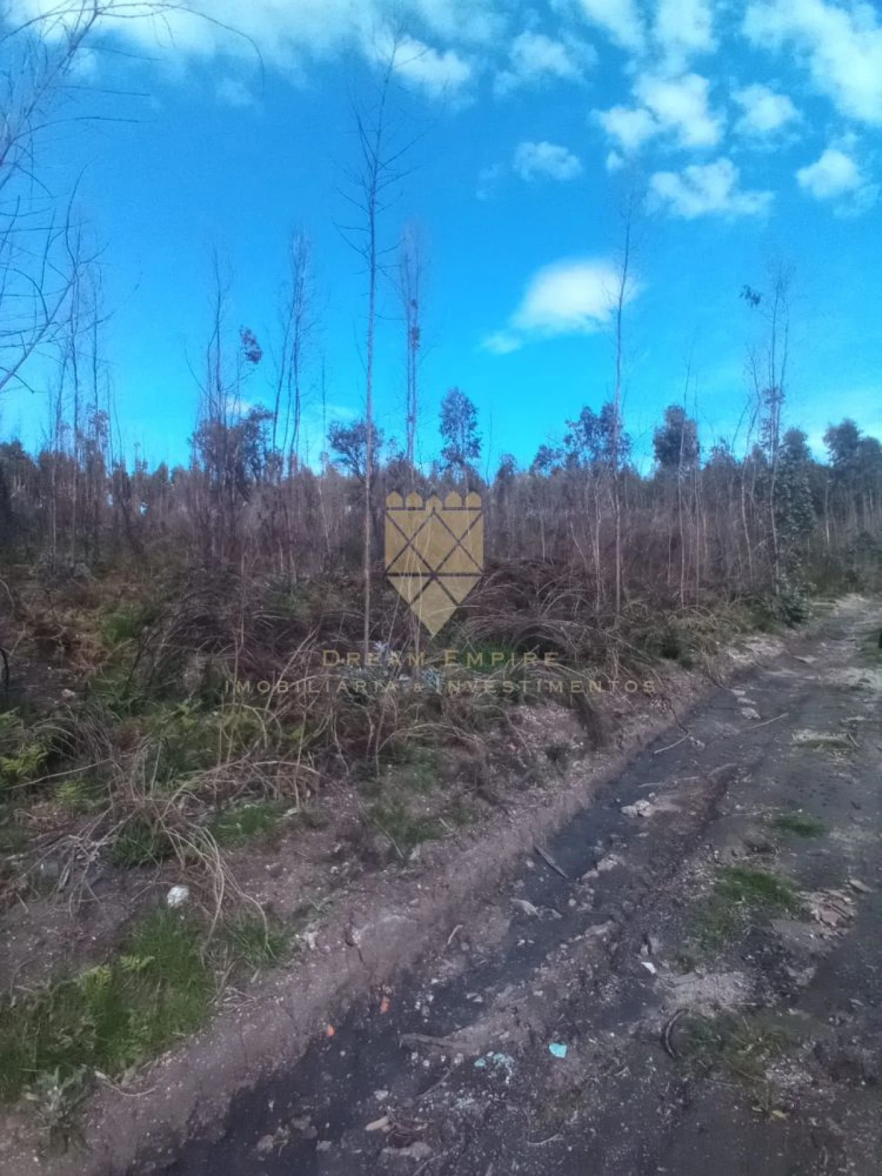 Terreno para Venda em Lagares e Figueira Foto 4