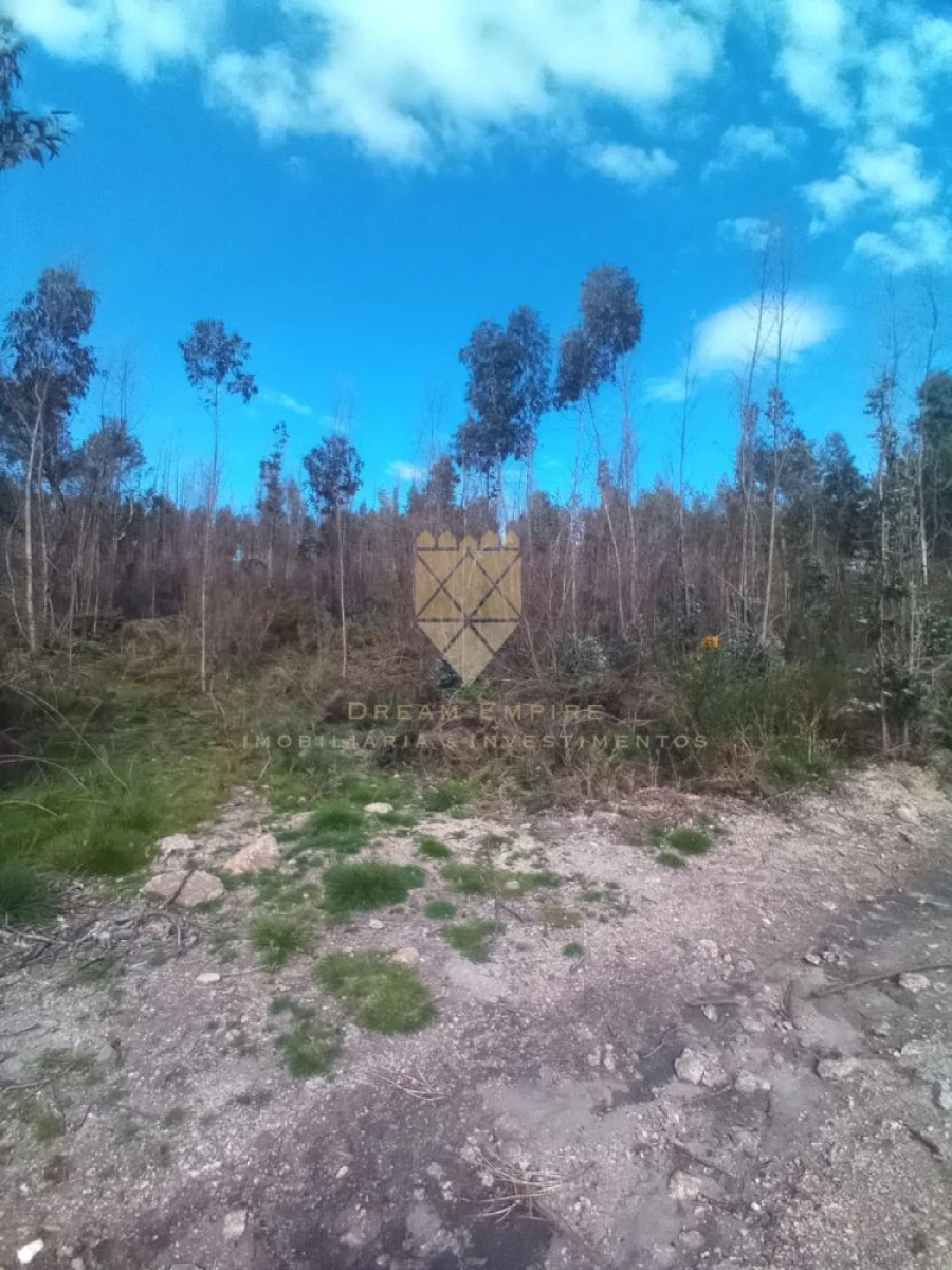 Terreno para Venda em Lagares e Figueira Foto 3