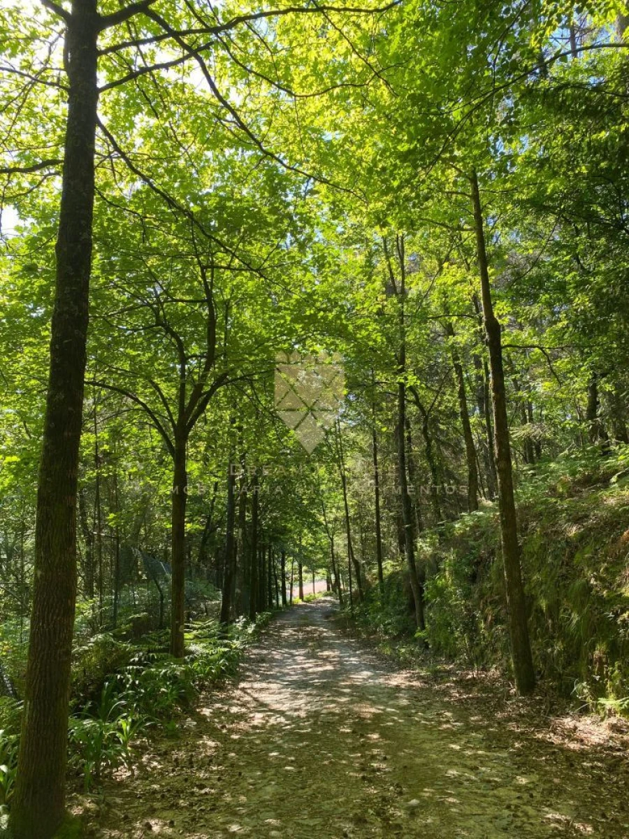 Quinta T0 para Venda em Paço de Sousa Foto 32