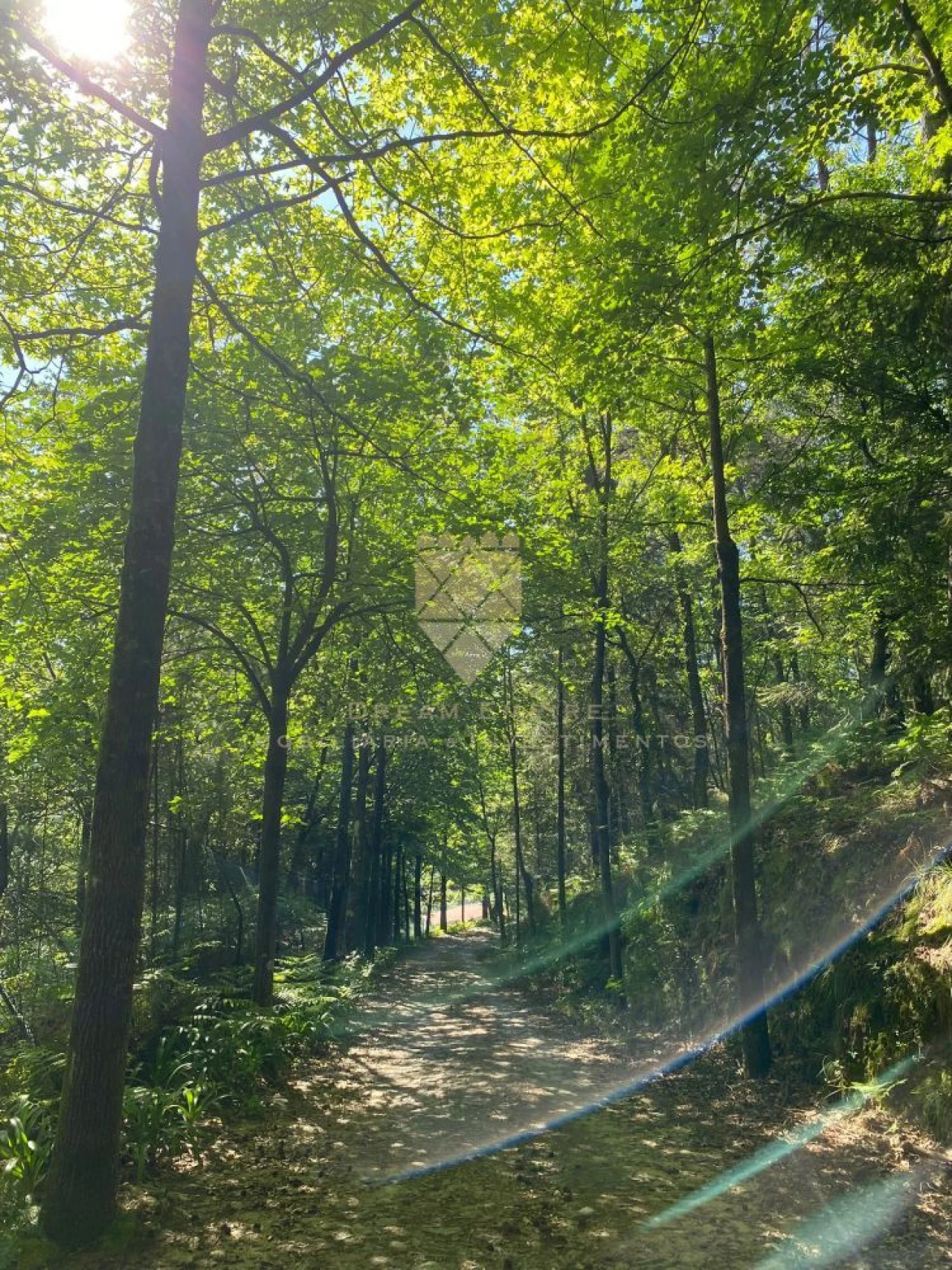 Quinta T0 para Venda em Paço de Sousa Foto 33