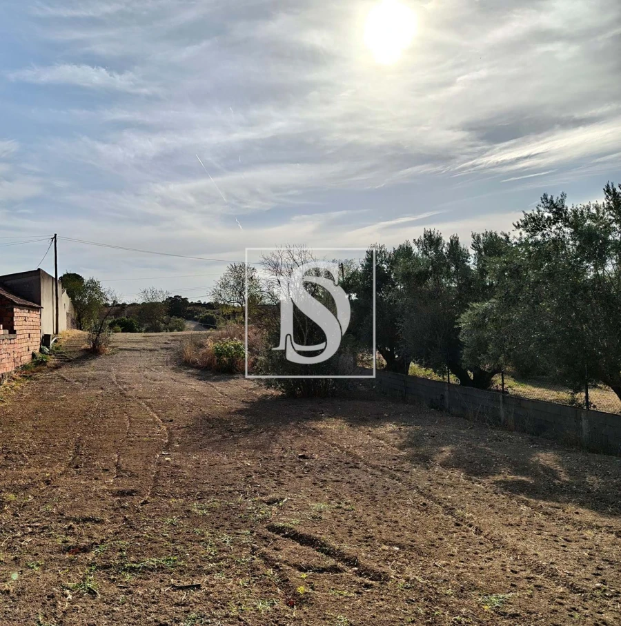 Moradia T2 para Venda em Olaia e Paço Foto 5