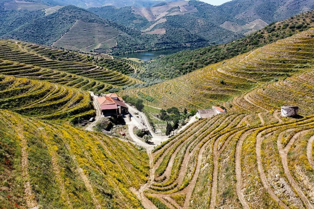 Quinta T0 para Venda em Lousa Foto 24