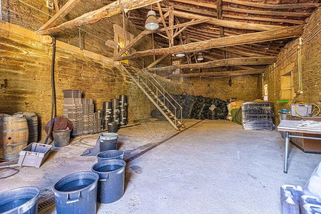 Quinta T0 para Venda em Lousa Foto 6