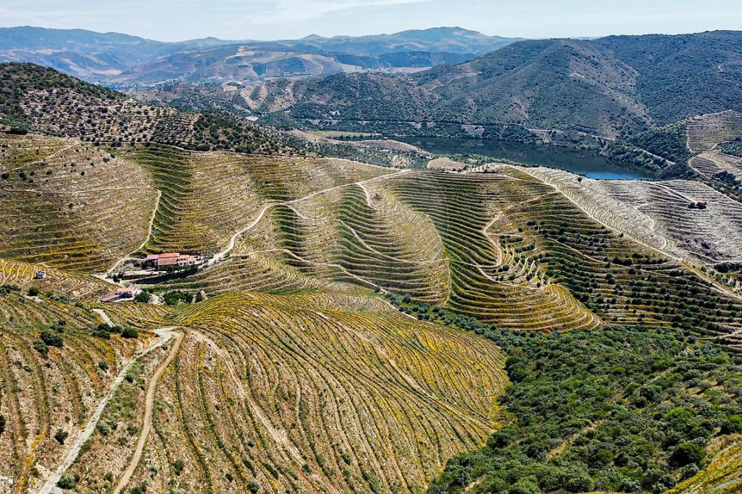 Quinta T0 para Venda em Lousa Foto 26