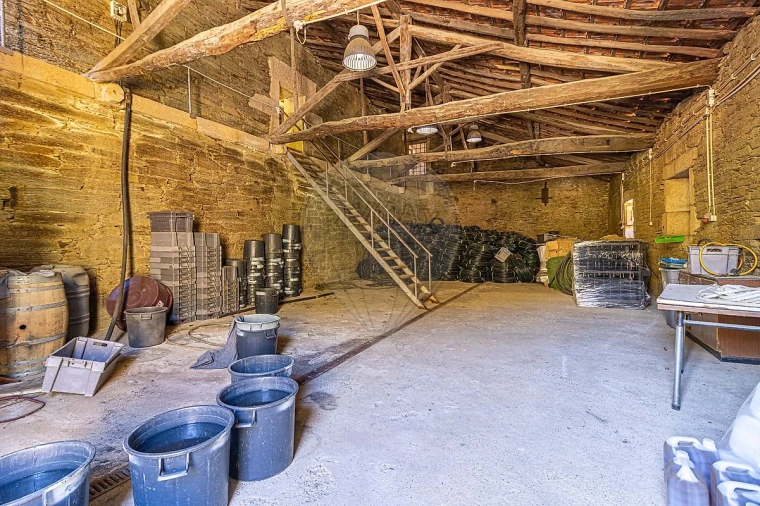 Quinta T0 para Venda em Lousa Foto 6