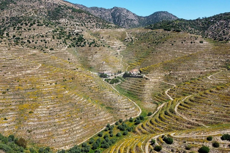 Quinta T0 para Venda em Lousa Foto 20