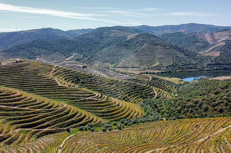 Quinta T0 para Venda em Lousa Foto 1