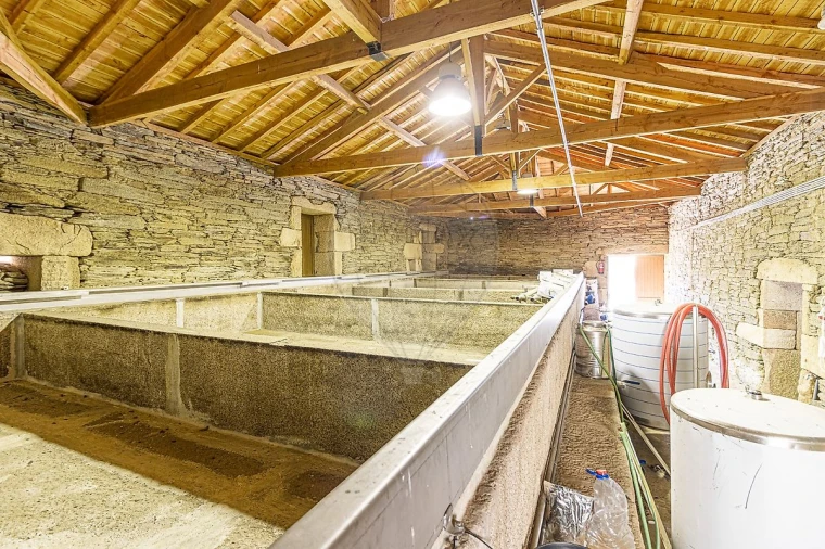 Quinta T0 para Venda em Lousa Foto 5