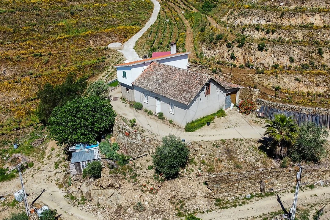 Quinta T0 para Venda em Lousa Foto 22