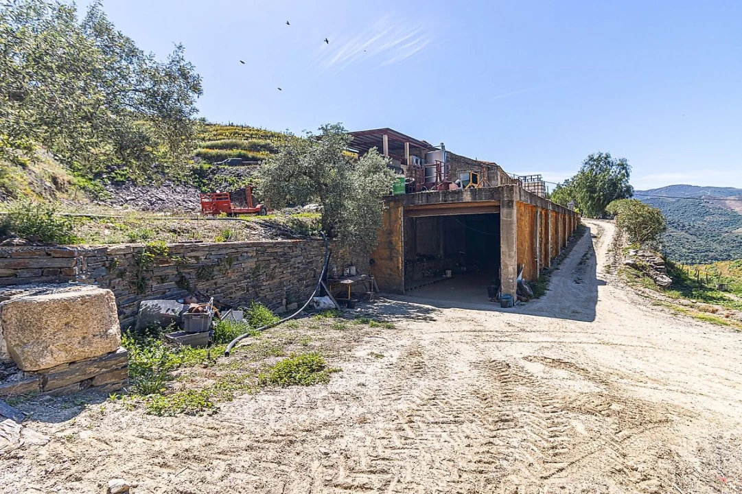 Quinta T0 para Venda em Lousa Foto 7