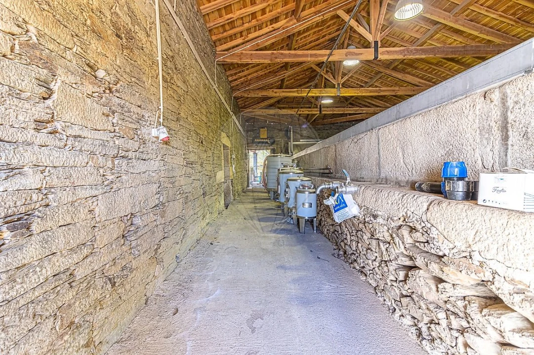 Quinta T0 para Venda em Lousa Foto 4