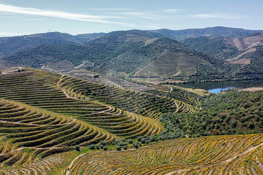 Quinta T0 para Venda em Lousa Foto 1
