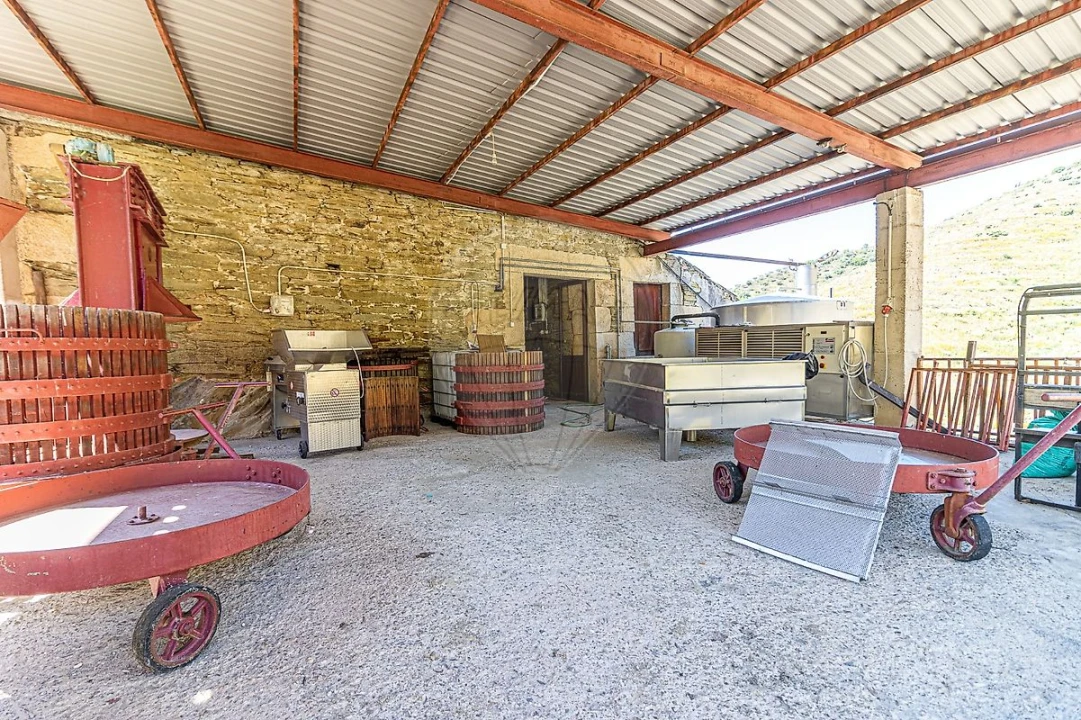 Quinta T0 para Venda em Lousa Foto 3