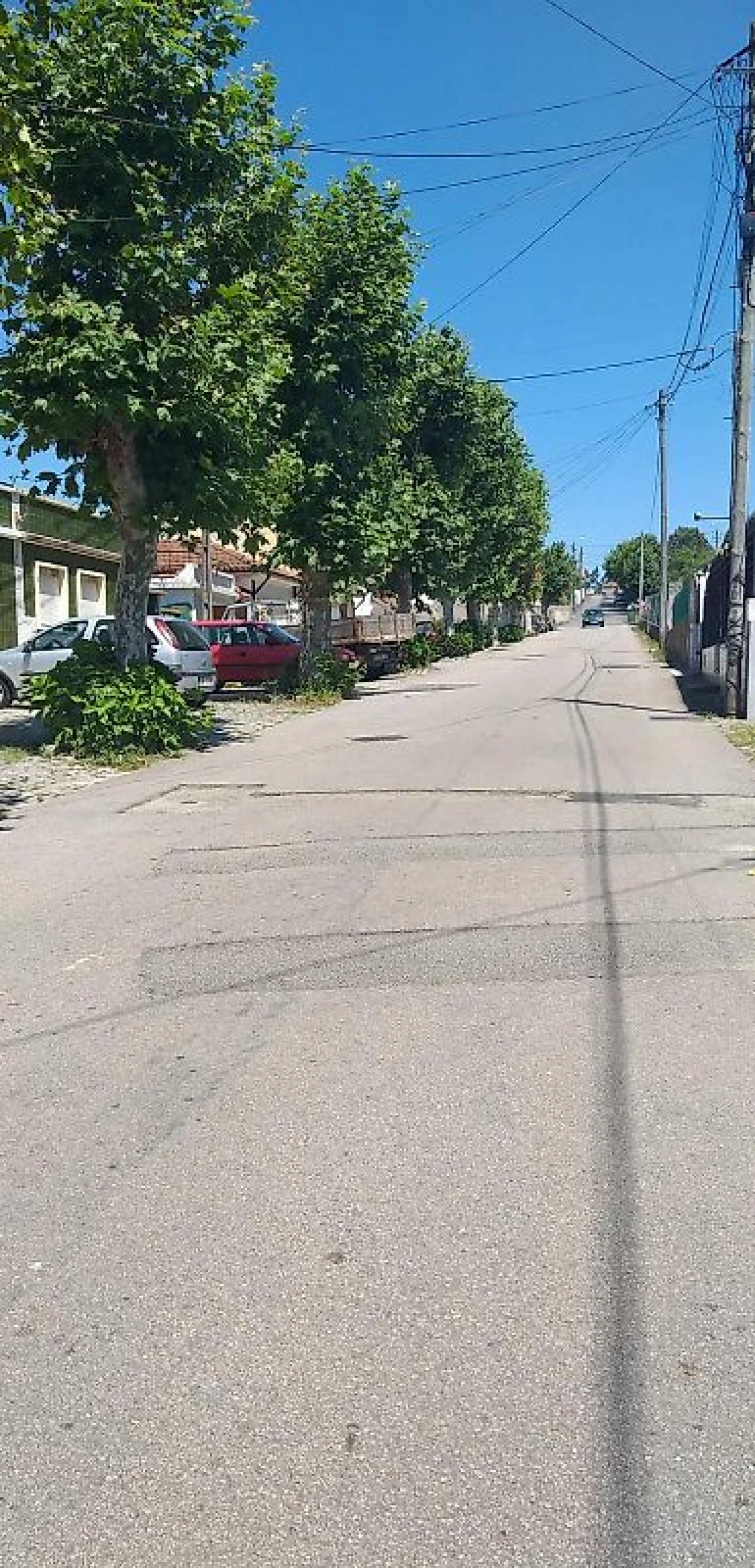 Terreno para Venda em Silvalde Foto 7