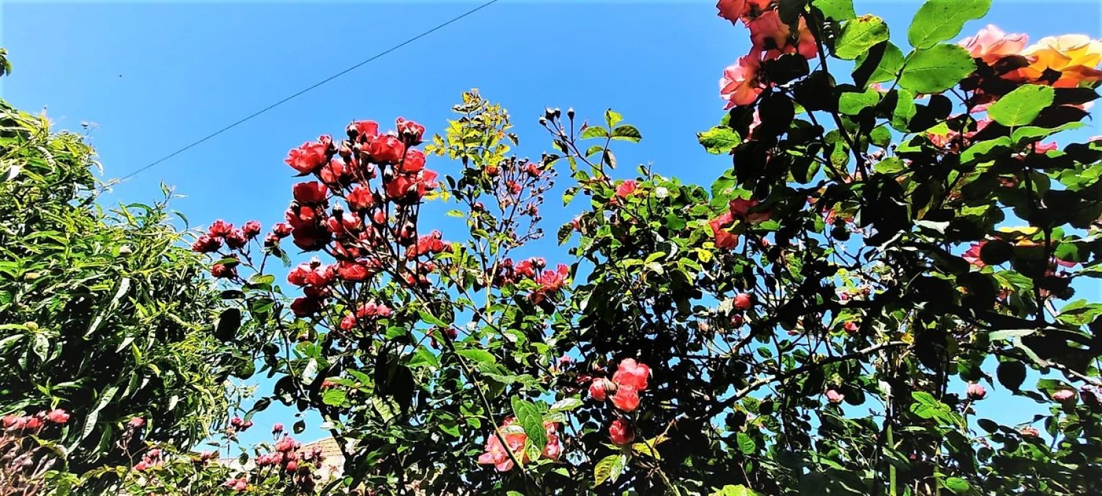 Moradia T4 para Venda em Canidelo Foto 6