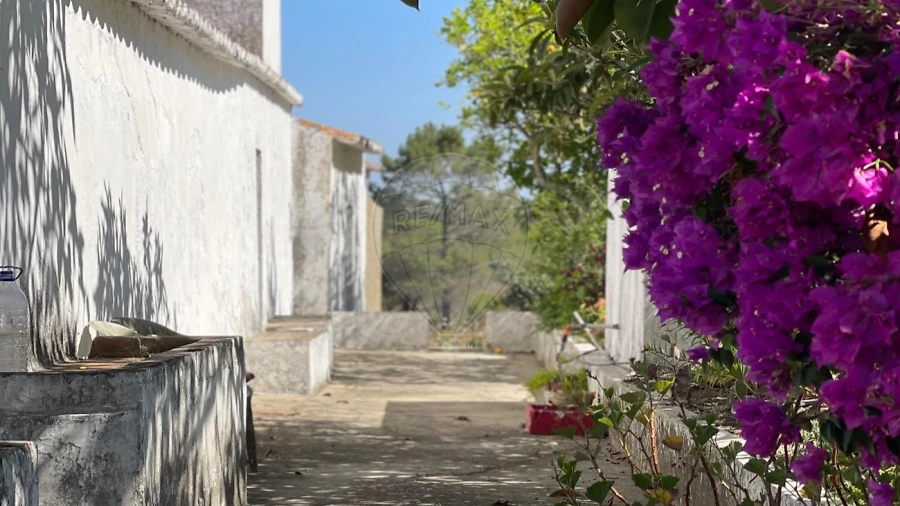 Terreno para Venda em Melides Foto 5