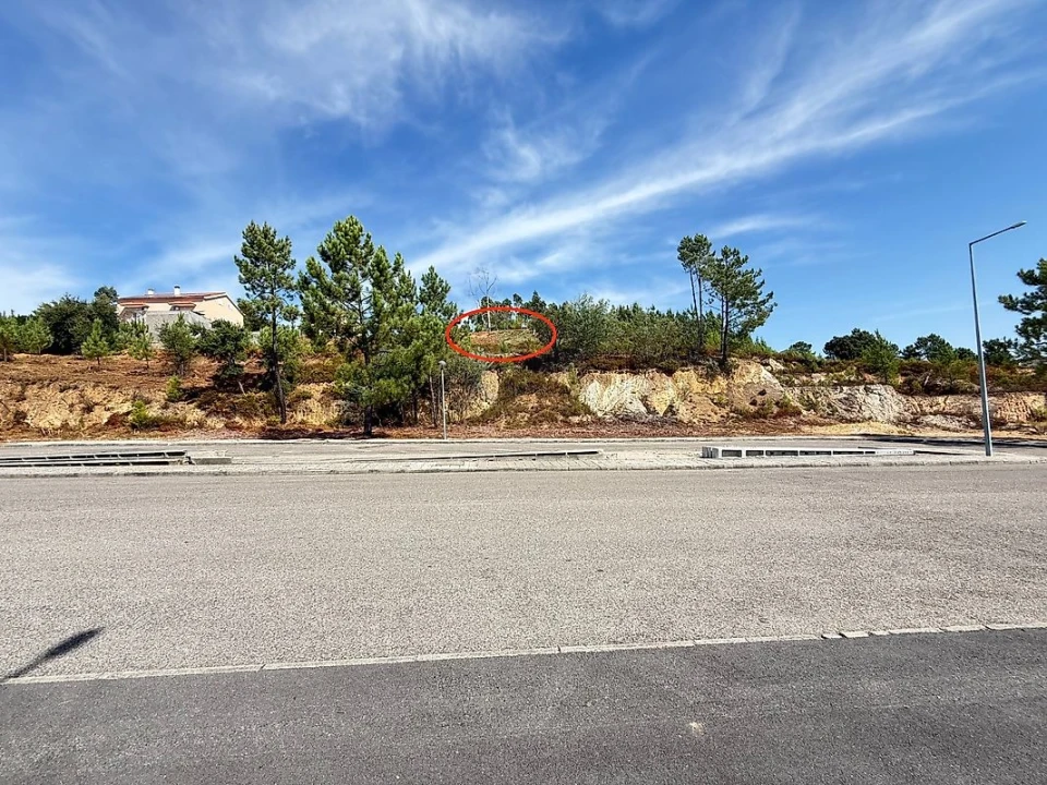 Terreno para Venda em Mação, Penhascoso e Aboboreira Foto 6