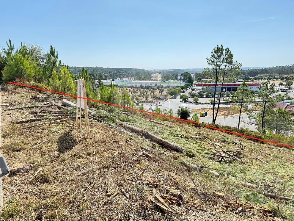 Terreno para Venda em Mação, Penhascoso e Aboboreira Foto 5