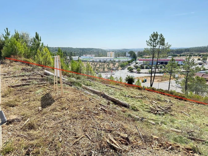 Terreno para Venda em Mação, Penhascoso e Aboboreira Foto 5