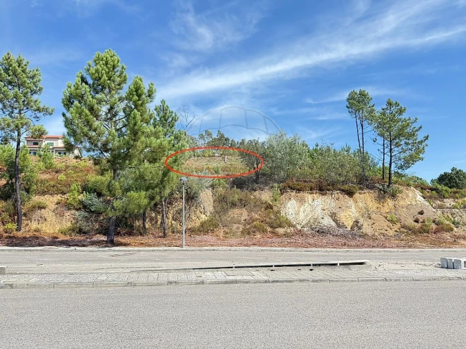 Terreno para Venda em Mação, Penhascoso e Aboboreira Foto 2